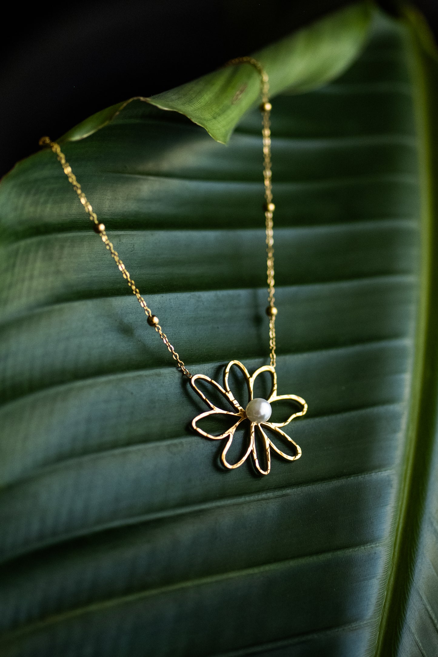 Flora Loop